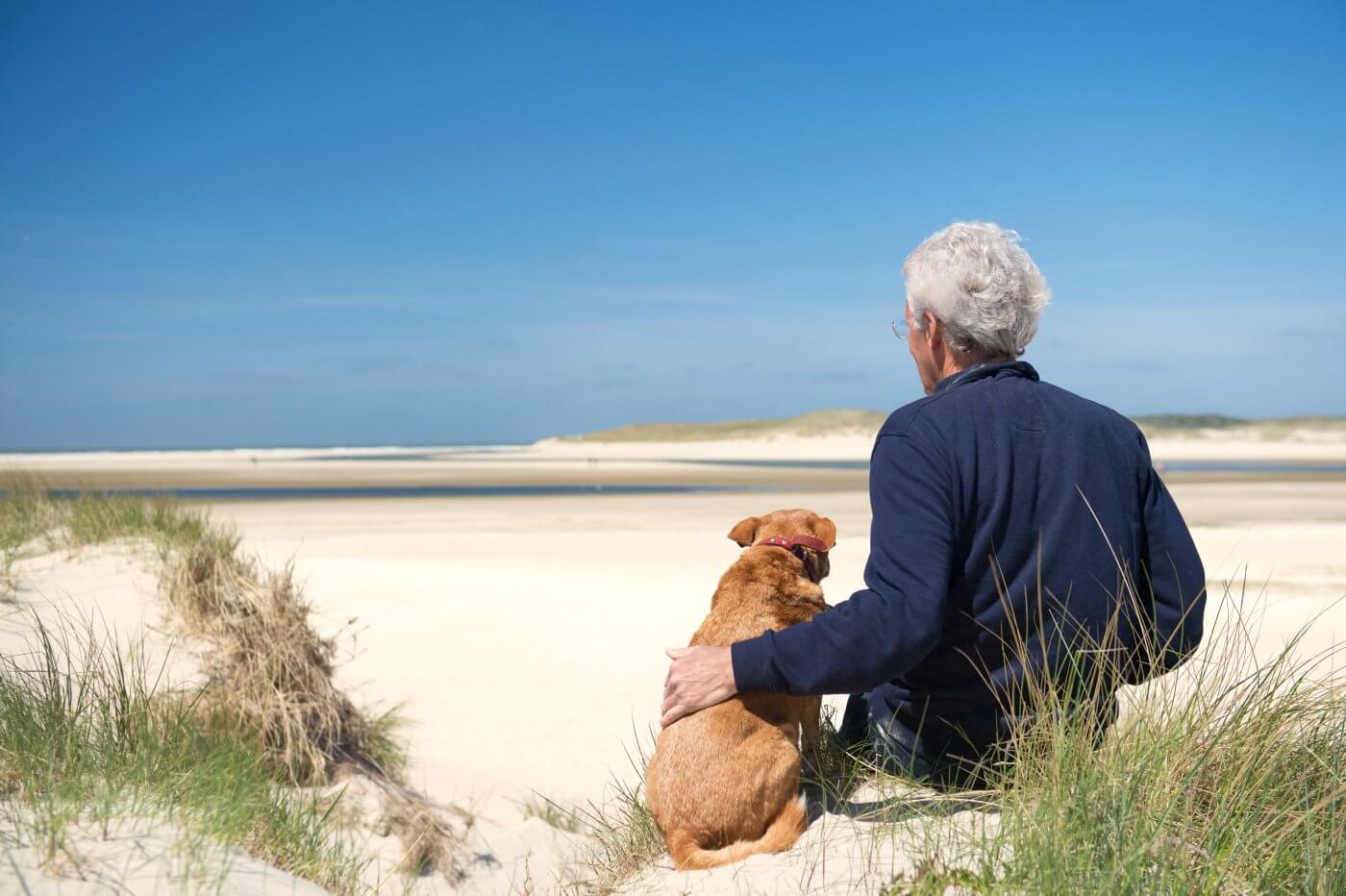 Man,Sitting,With,Dog,On,Sand,Dune,At,Dutch,Beach